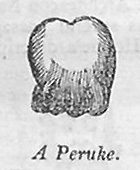 A Peruke.